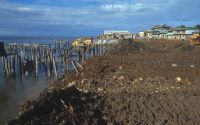 Malecon 1984